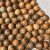 picture-jasper-beads1